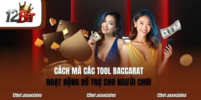 Cách mà các tool Baccarat hoạt động bổ trợ cho người chơi tại 12Bet