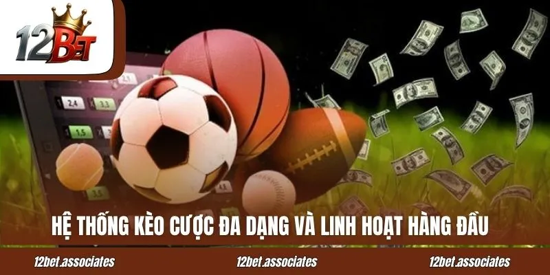 Hệ thống kèo cược đa dạng và linh hoạt hàng đầu 12Bet